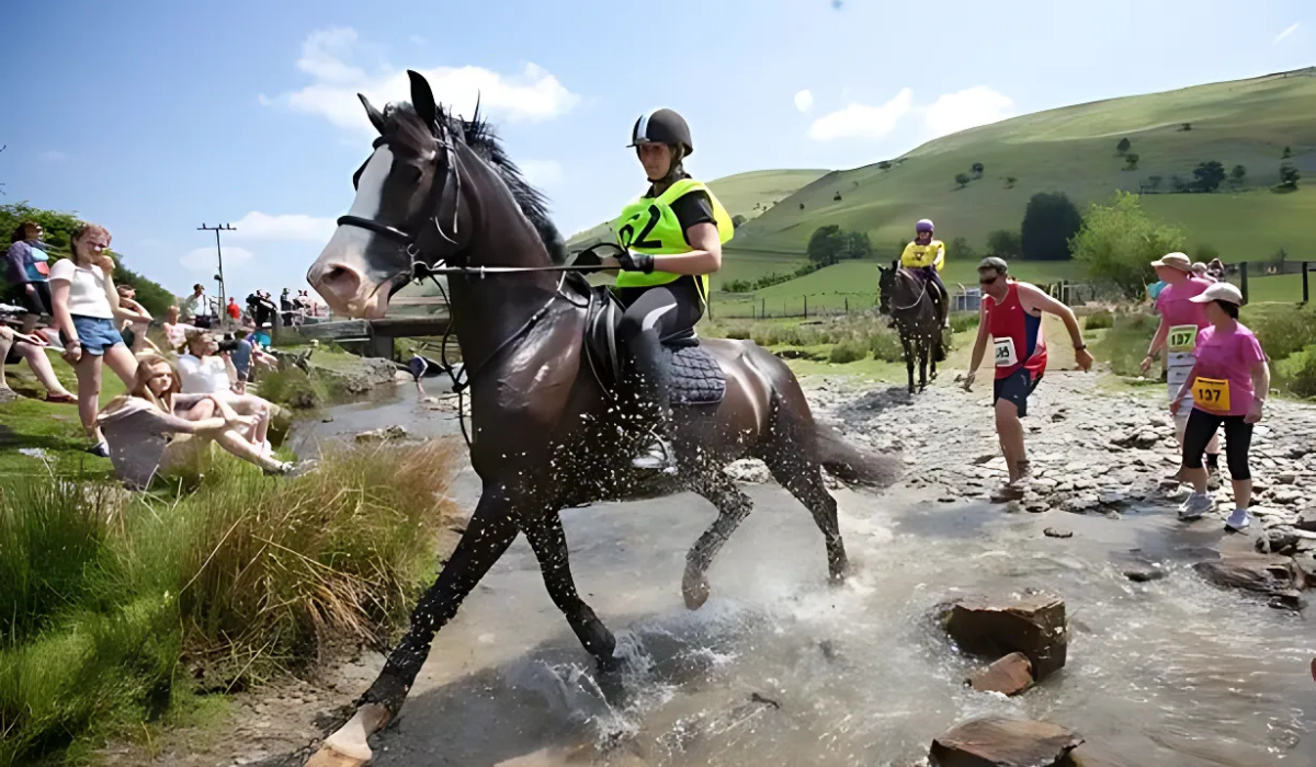 Racing Bizarre: Man vs Horse