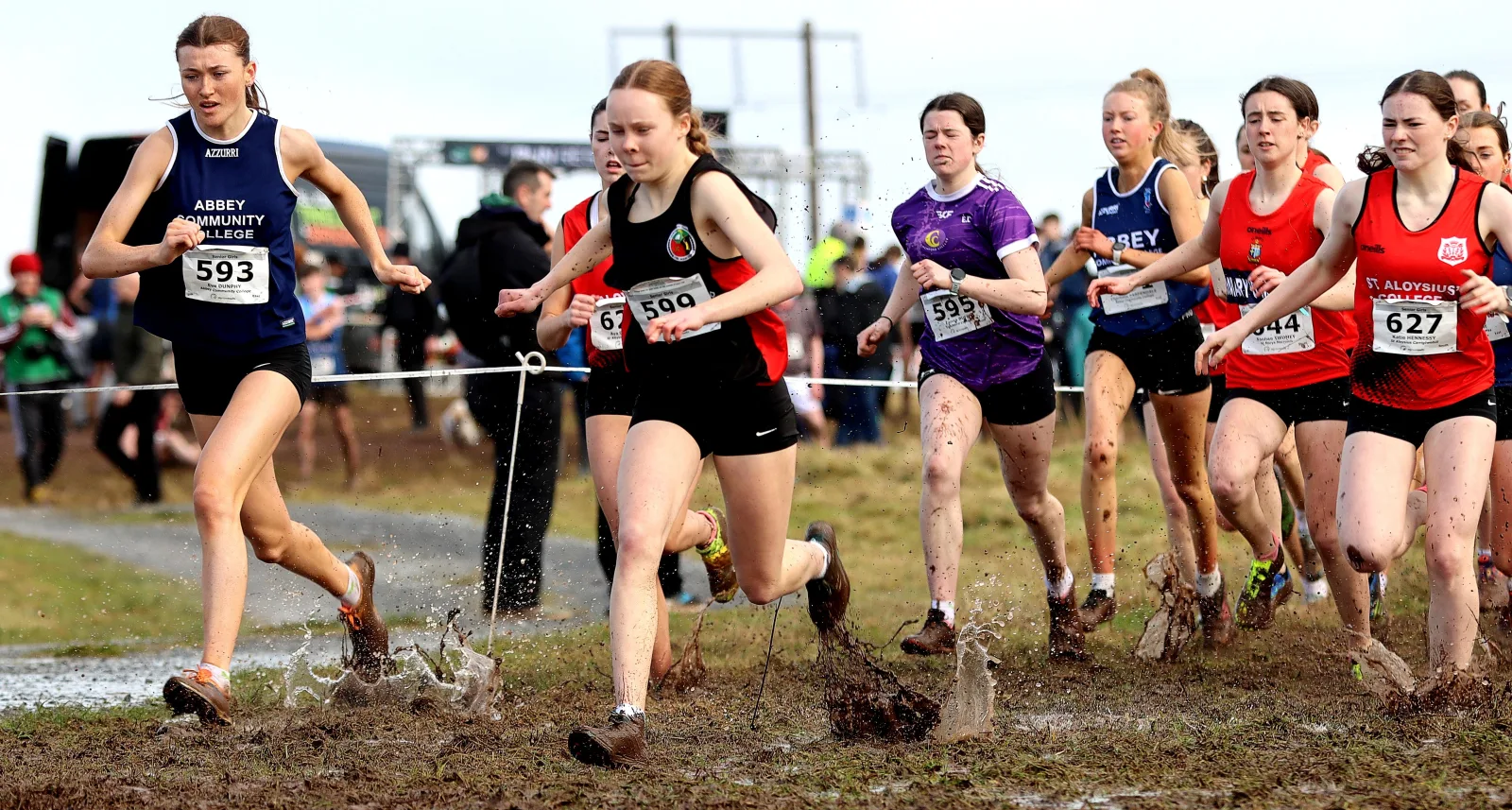 The Best of Schools Cross-Country: Who Ruled the Mud and Grass in Leinster and Munster?