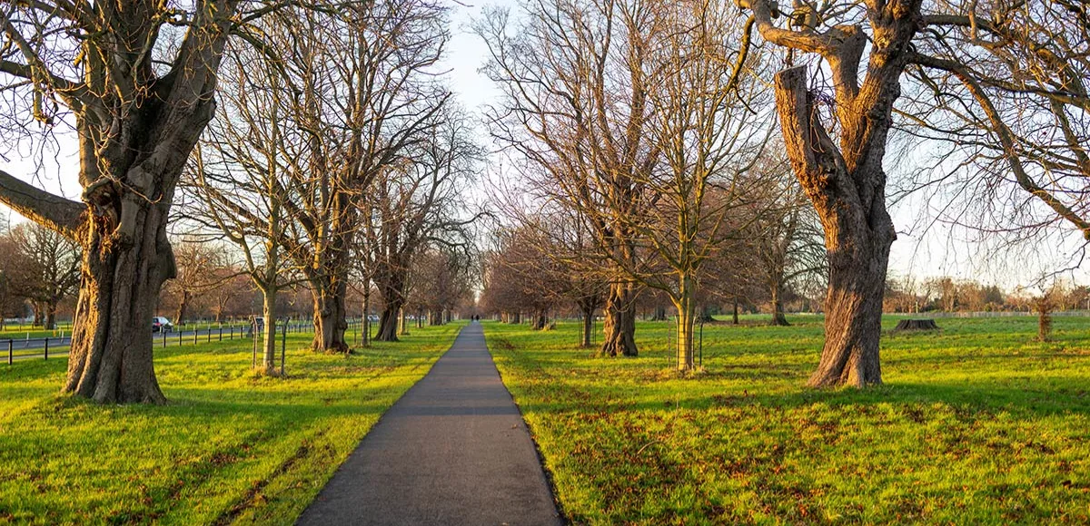 Running in Dublin: Where to Train Without Getting Stuck Behind a Pram