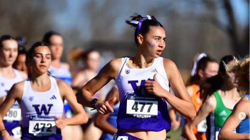From New York to New Mexico: Irish Athletes Impress at 2024 Cross Country Conference