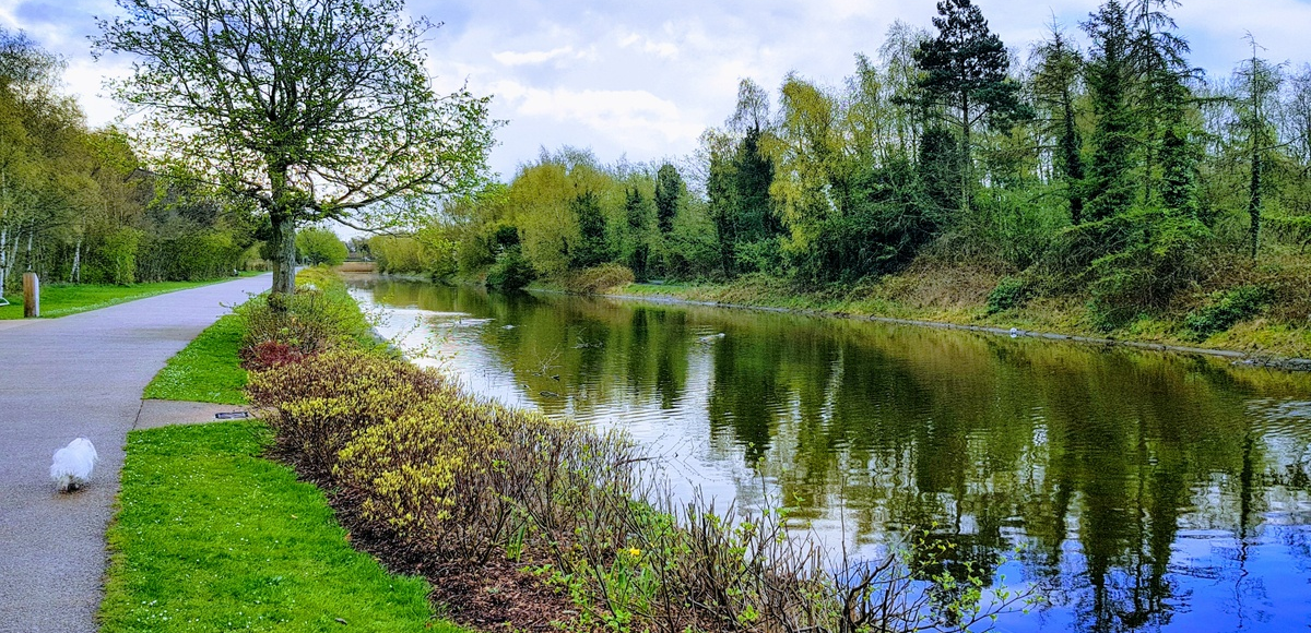 Is Victoria Park the Best Place Outside of a Track in Belfast to Do Interval Training?